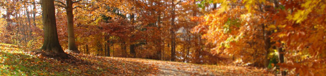 IAUGT Rotating Header Image