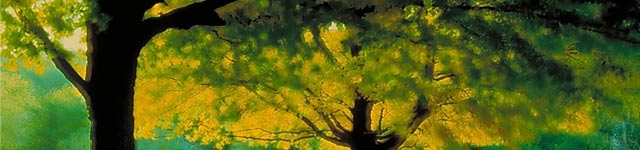 IAUGT Rotating Header Image