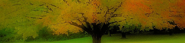 IAUGT Rotating Header Image